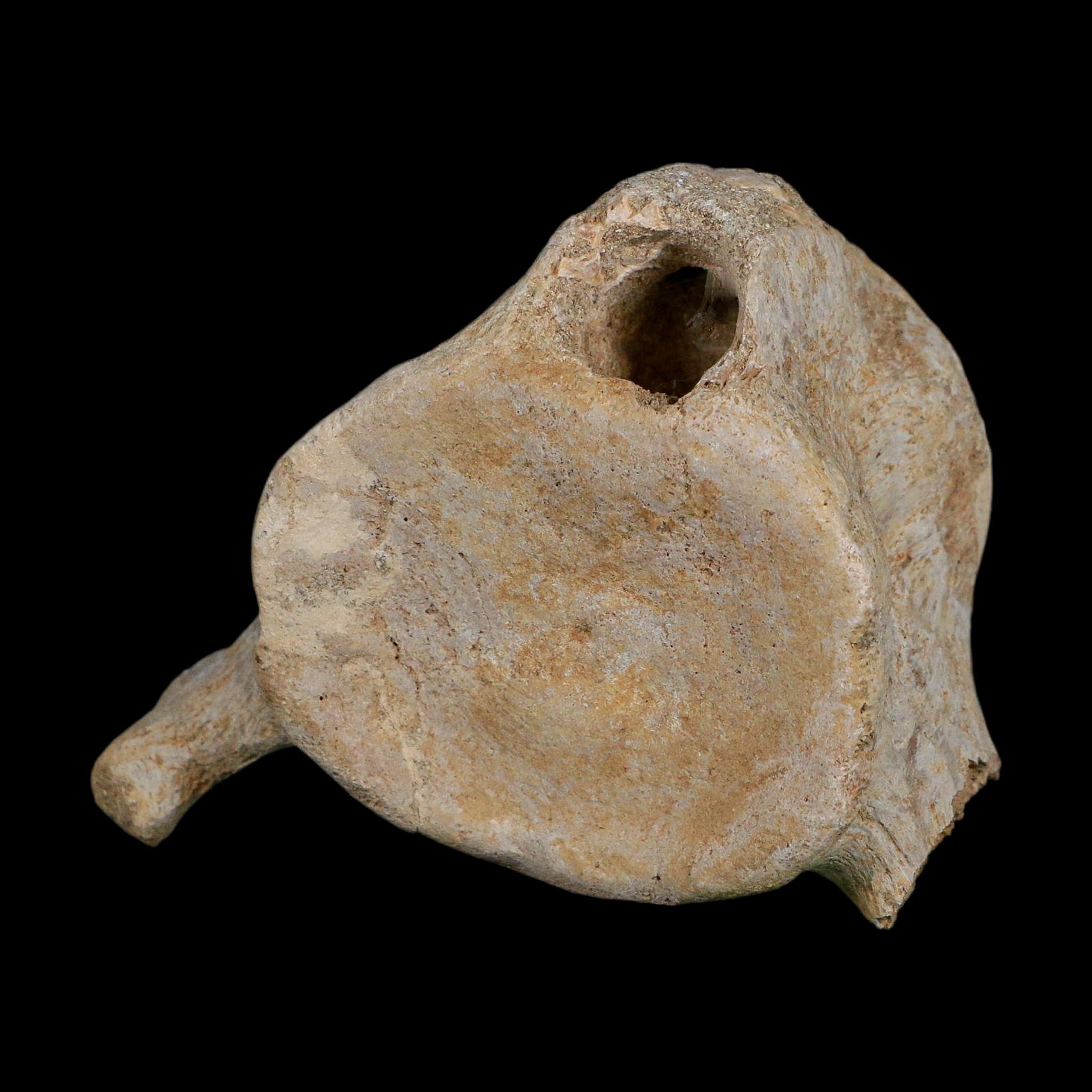 3.8" Plesiosaurus Fossil Vertebrae Cretaceous Dinosaur Era Morocco Zarafasaura COA