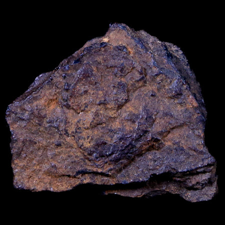 Bendege Meteorite Specimen Riker Display Bendege Bahia Brazil 3.8 Grams