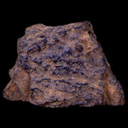Bendege Meteorite Specimen Riker Display Bendege Bahia Brazil 4.1 Grams