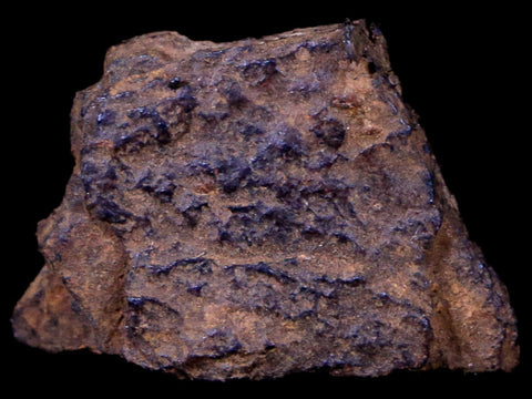 Bendege Meteorite Specimen Riker Display Bendege Bahia Brazil 4.1 Grams - Fossil Age Minerals