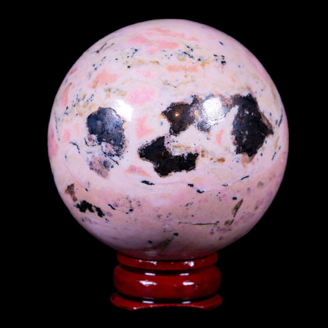 XL 53MM Natural Rhodonite Mineral Crystal Sphere Ball Peru Rosewood Stand - Fossil Age Minerals