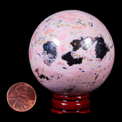 XL 53MM Natural Rhodonite Mineral Crystal Sphere Ball Peru Rosewood Stand - Fossil Age Minerals