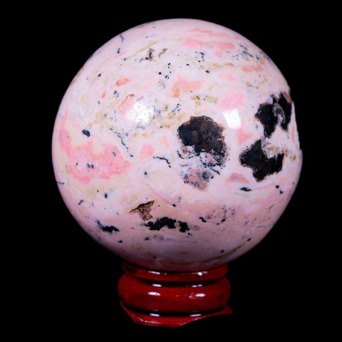 XL 53MM Natural Rhodonite Mineral Crystal Sphere Ball Peru Rosewood Stand - Fossil Age Minerals