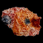 2.6" Pink, Orange Barite Blades, Cerussite Crystals, Galena Crystal Mineral Morocco