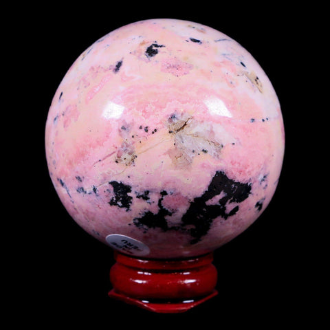 XL 53MM Natural Rhodonite Mineral Crystal Sphere Ball Peru Rosewood Stand - Fossil Age Minerals