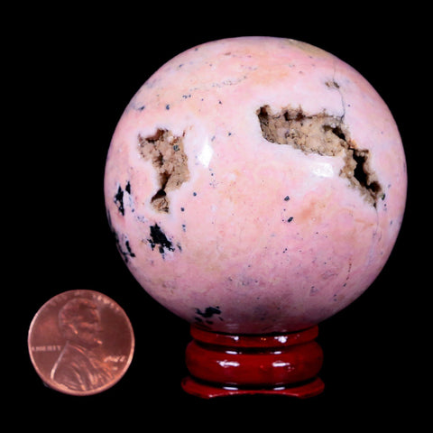 XL 52MM Natural Rhodonite Vug Mineral Crystal Sphere Ball Peru Rosewood Stand - Fossil Age Minerals