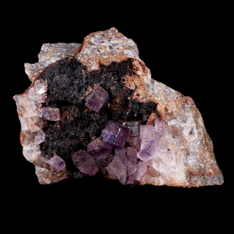 3.6" Purple Fluorite Crystal Cubes Cluster Mineral Specimen Taourirt Morocco - Fossil Age Minerals