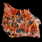 2.5" Sparkly Orange Barite Blades, Cerussite Crystals, Galena Crystal Mineral Morocco