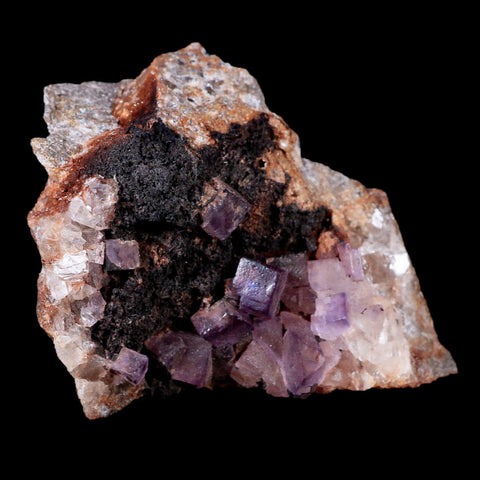 3.6" Purple Fluorite Crystal Cubes Cluster Mineral Specimen Taourirt Morocco - Fossil Age Minerals