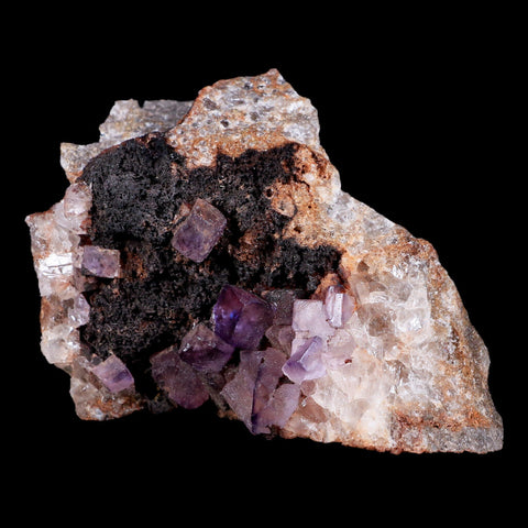 3.6" Purple Fluorite Crystal Cubes Cluster Mineral Specimen Taourirt Morocco - Fossil Age Minerals