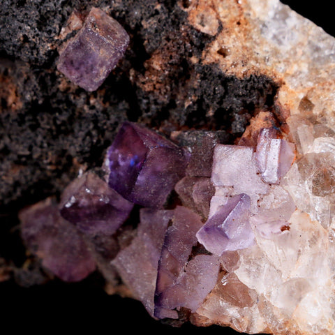 3.6" Purple Fluorite Crystal Cubes Cluster Mineral Specimen Taourirt Morocco - Fossil Age Minerals