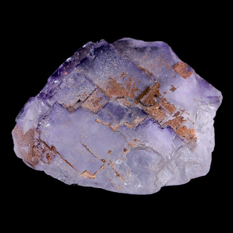 1.8" Purple Fluorite Crystal Clear Cluster Mineral Specimen Taourirt Morocco - Fossil Age Minerals