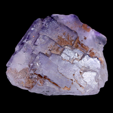 1.8" Purple Fluorite Crystal Clear Cluster Mineral Specimen Taourirt Morocco - Fossil Age Minerals