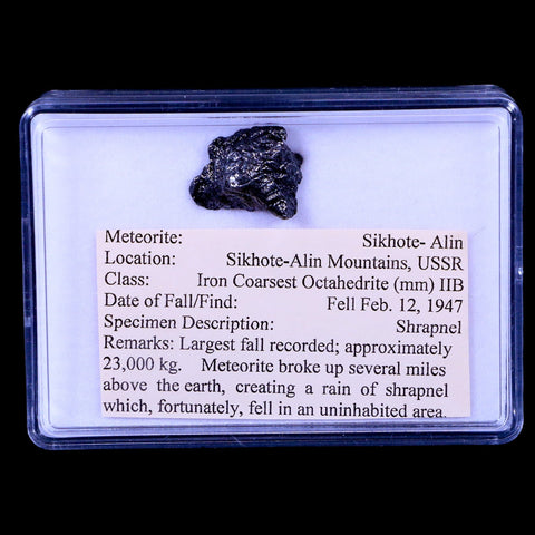 Sikhote Alin Meteorite Specimen Riker Display Russia Meteorites 5.6 Grams - Fossil Age Minerals