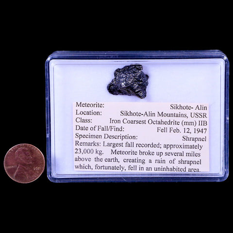 Sikhote Alin Meteorite Specimen Riker Display Russia Meteorites 5.6 Grams - Fossil Age Minerals