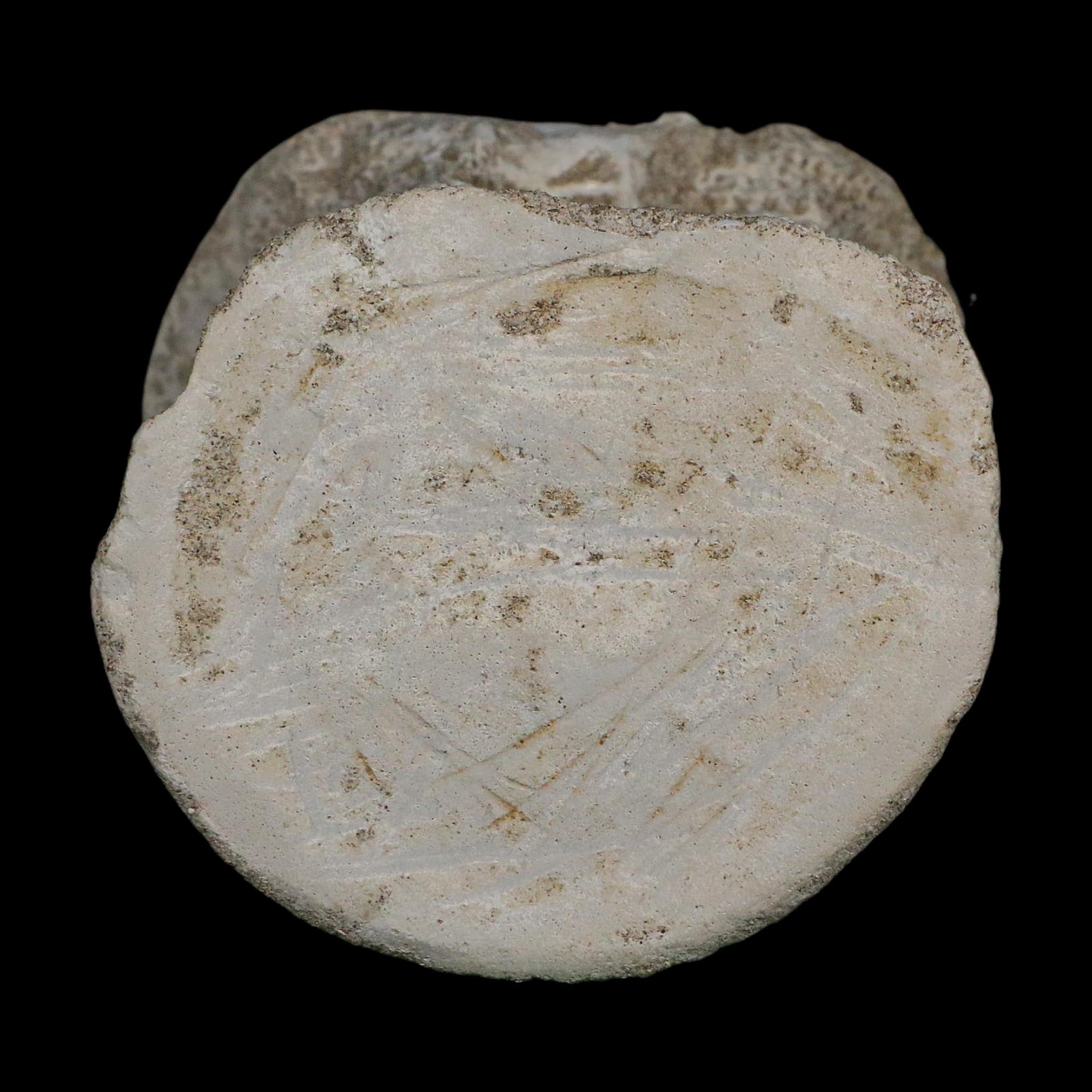 2.9" Plesiosaurus Fossil Vertebrae Cretaceous Dinosaur Era Morocco Zarafasaura COA