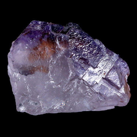 1.8" Purple Fluorite Crystal Clear Cluster Mineral Specimen Taourirt Morocco - Fossil Age Minerals