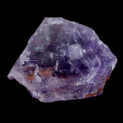 1.8" Purple Fluorite Crystal Clear Cluster Mineral Specimen Taourirt Morocco - Fossil Age Minerals