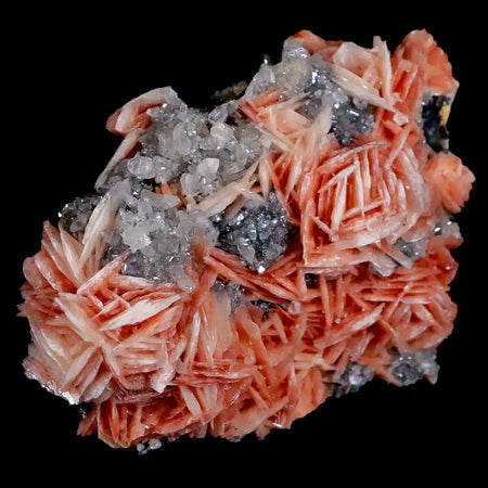 2.3" Sparkly Pink Barite Blades, Cerussite Crystals, Galena Crystal Mineral Morocco