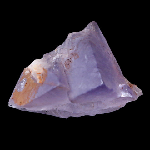 1.8" Purple Fluorite Crystal Cubes Cluster Mineral Specimen Taourirt Morocco - Fossil Age Minerals