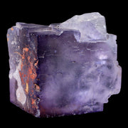 2.7" Purple Fluorite Crystal Cube Cluster Mineral Specimen Taourirt Morocco