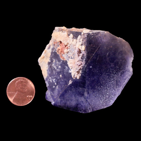 2.4" Purple Fluorite Crystal Cube Cluster Mineral Specimen Taourirt Morocco - Fossil Age Minerals