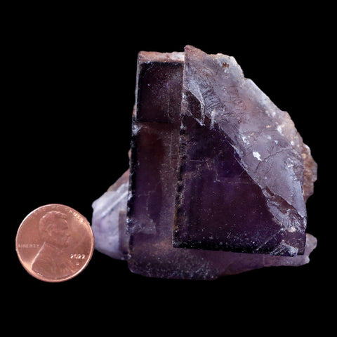 2.5" Purple Fluorite Crystal Cube Cluster Mineral Specimen Taourirt Morocco - Fossil Age Minerals