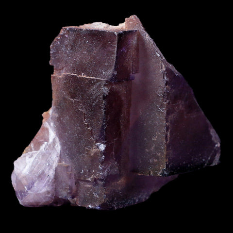 2.5" Purple Fluorite Crystal Cube Cluster Mineral Specimen Taourirt Morocco - Fossil Age Minerals