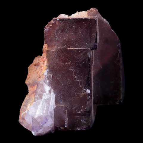 2.5" Purple Fluorite Crystal Cube Cluster Mineral Specimen Taourirt Morocco - Fossil Age Minerals