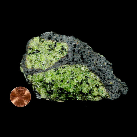 XL 4.2" Natural Emerald Peridot Crystal Minerals On Volcanic Rock Gila, Arizona - Fossil Age Minerals