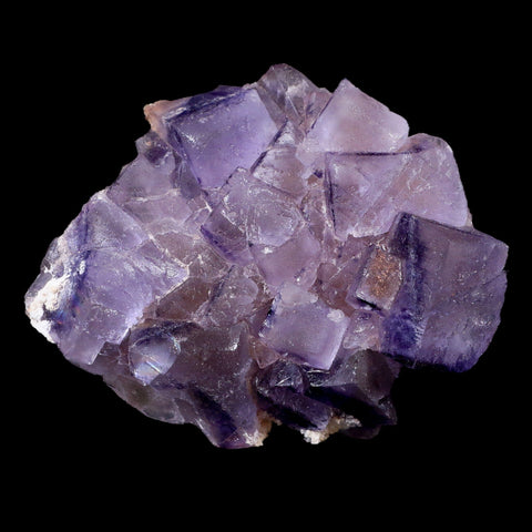 3.1" Purple Fluorite Crystal Cubes Cluster Mineral Specimen Taourirt Morocco - Fossil Age Minerals