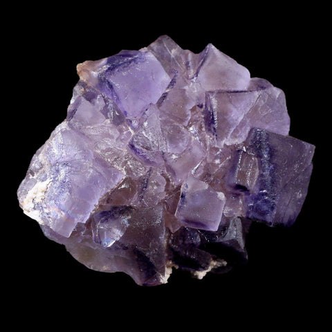 3.1" Purple Fluorite Crystal Cubes Cluster Mineral Specimen Taourirt Morocco - Fossil Age Minerals