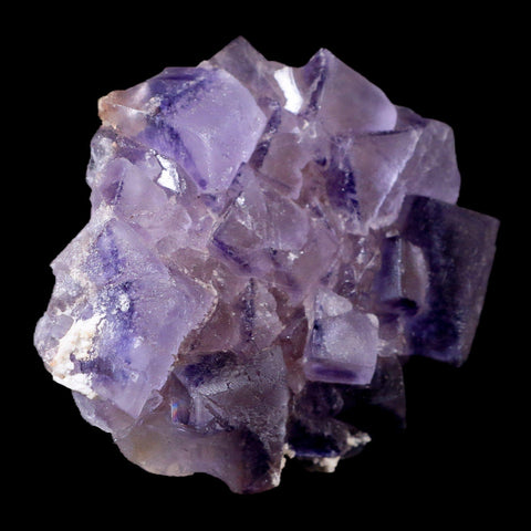 3.1" Purple Fluorite Crystal Cubes Cluster Mineral Specimen Taourirt Morocco - Fossil Age Minerals
