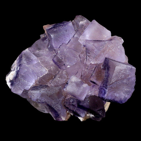 3.1" Purple Fluorite Crystal Cubes Cluster Mineral Specimen Taourirt Morocco - Fossil Age Minerals