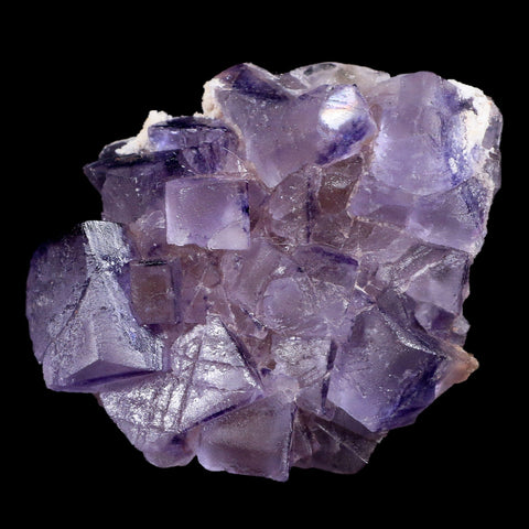3.1" Purple Fluorite Crystal Cubes Cluster Mineral Specimen Taourirt Morocco - Fossil Age Minerals