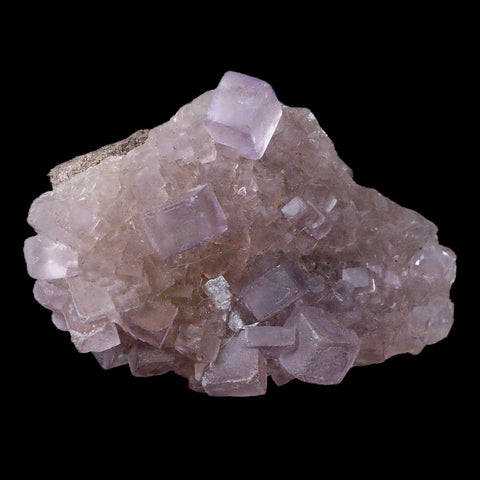 3.5" Purple Fluorite Crystal Cubes Cluster Mineral Specimen Taourirt Morocco - Fossil Age Minerals