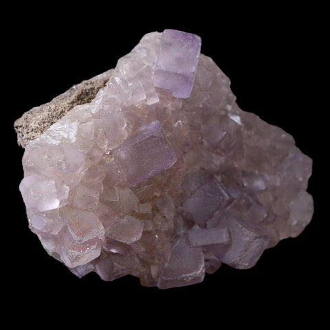 3.5" Purple Fluorite Crystal Cubes Cluster Mineral Specimen Taourirt Morocco - Fossil Age Minerals
