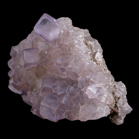 3.5" Purple Fluorite Crystal Cubes Cluster Mineral Specimen Taourirt Morocco - Fossil Age Minerals