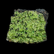 XL 3.4" Natural Emerald Peridot Crystal Minerals On Volcanic Rock Gila, Arizona