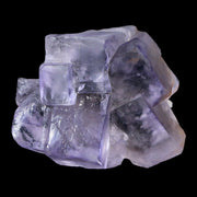 1.5" Purple Fluorite Crystal Cubes Cluster Mineral Specimen Taourirt Morocco