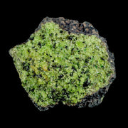 XL 3.6" Natural Emerald Peridot Crystal Minerals On Volcanic Rock Gila, Arizona