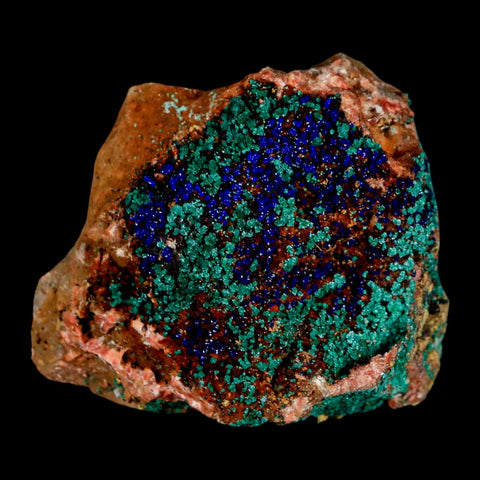 2.2" Azurite Crystals & Malachite On Matrix Colorful Mineral Specimen Morocco - Fossil Age Minerals