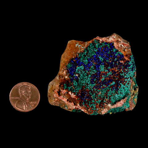 2.2" Azurite Crystals & Malachite On Matrix Colorful Mineral Specimen Morocco - Fossil Age Minerals