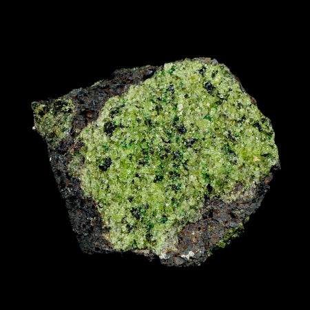 XL 3.8" Natural Emerald Peridot Crystal Minerals On Volcanic Rock Gila, Arizona