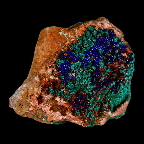 2.2" Azurite Crystals & Malachite On Matrix Colorful Mineral Specimen Morocco - Fossil Age Minerals