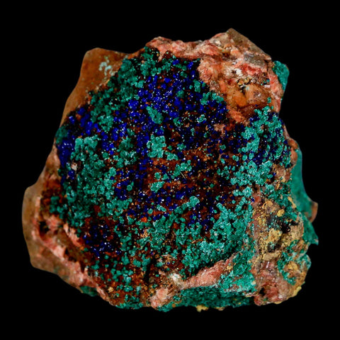 2.2" Azurite Crystals & Malachite On Matrix Colorful Mineral Specimen Morocco - Fossil Age Minerals