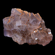 2.8" Purple Fluorite Crystal Cube Cluster Mineral Specimen Taourirt Morocco