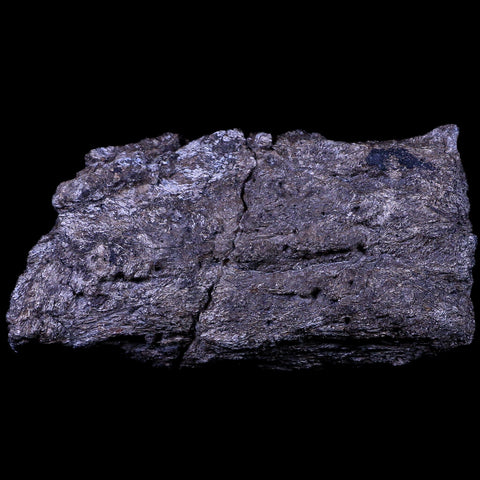 4.8" Stegosaurus Fossil Bone Morrison Formation Wyoming Jurassic Age Dinosaur COA - Fossil Age Minerals