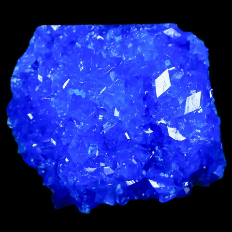 2.2" Electric Blue Chalcanthite Mineral Crystal Specimen Location Poland Sokolowski - Fossil Age Minerals