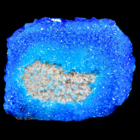 2.2" Electric Blue Chalcanthite Mineral Crystal Specimen Location Poland Sokolowski - Fossil Age Minerals